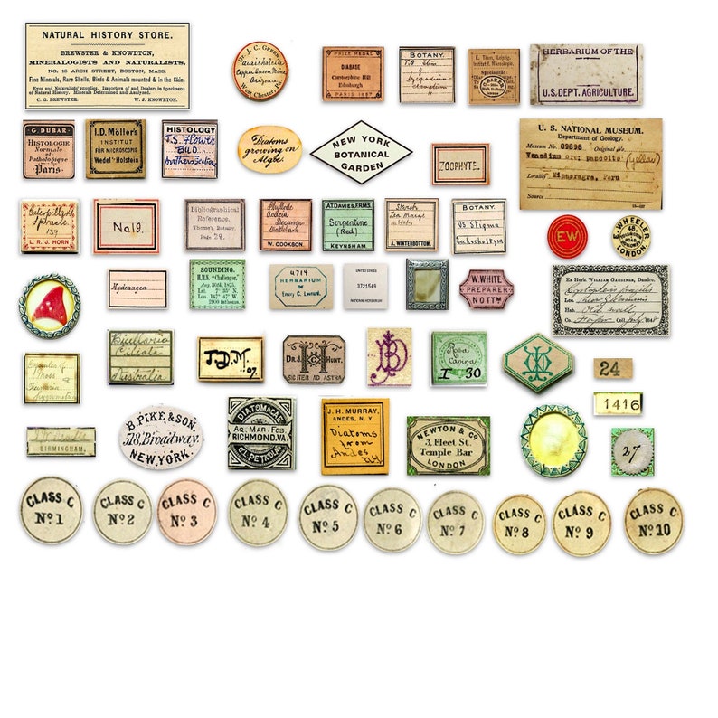 Vintage Botanist Kit: Printable Ephemera, Labels, Prints (digital ...