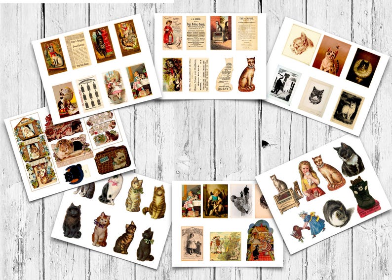 The Ultimate Vintage Cat Ephemera Collection: 50 Printable Pages for ...