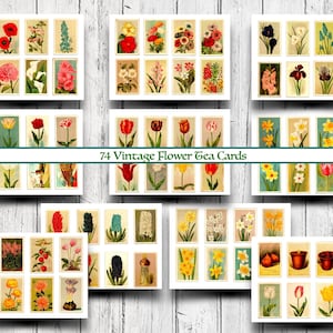 74 tarjetas de té con flores vintage, papeles de collage imprimibles, diario basura, álbum de recortes, proyectos de arte y manualidades, descarga instantánea
