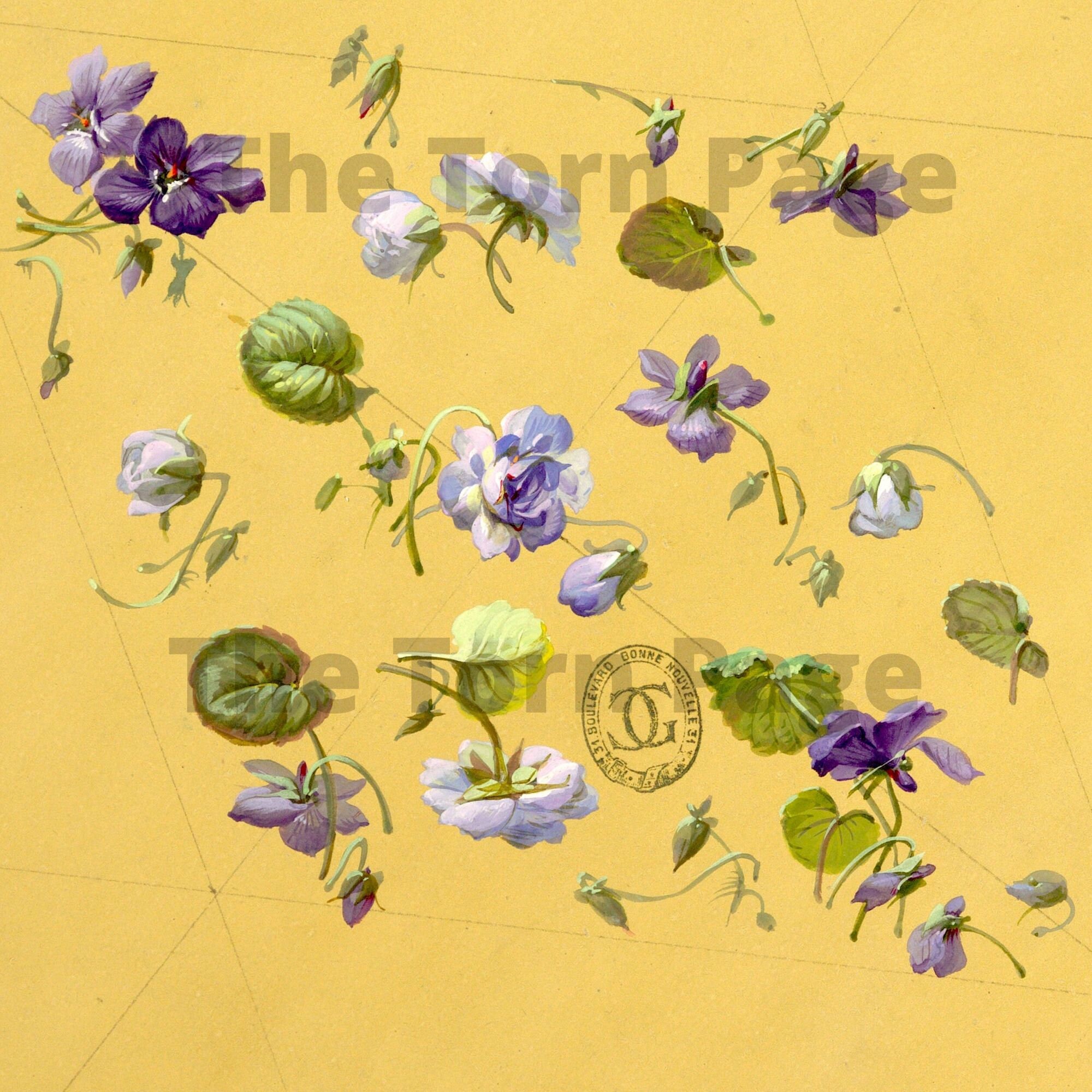 Vintage French Wallpaper Designs Digital Collage Papers Etsy Australia