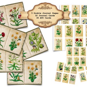 Vintage bloemenafbeeldingen, 16e-eeuwse bloemsierkunst, dagboekpagina's, dagboek- en ATC-kaarten, junkjournaal, plakboek, kunst- en ambachtsprojecten,