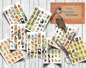 May include: A collection of vintage bird images arranged on rectangular cards. The cards feature various bird illustrations in a variety of colors. The image also includes a sign that reads "Bird Snippets 200 Images".