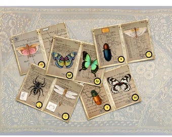 Vintage insectenveldnotities: afdrukbare dagboekpagina's (digitale download)