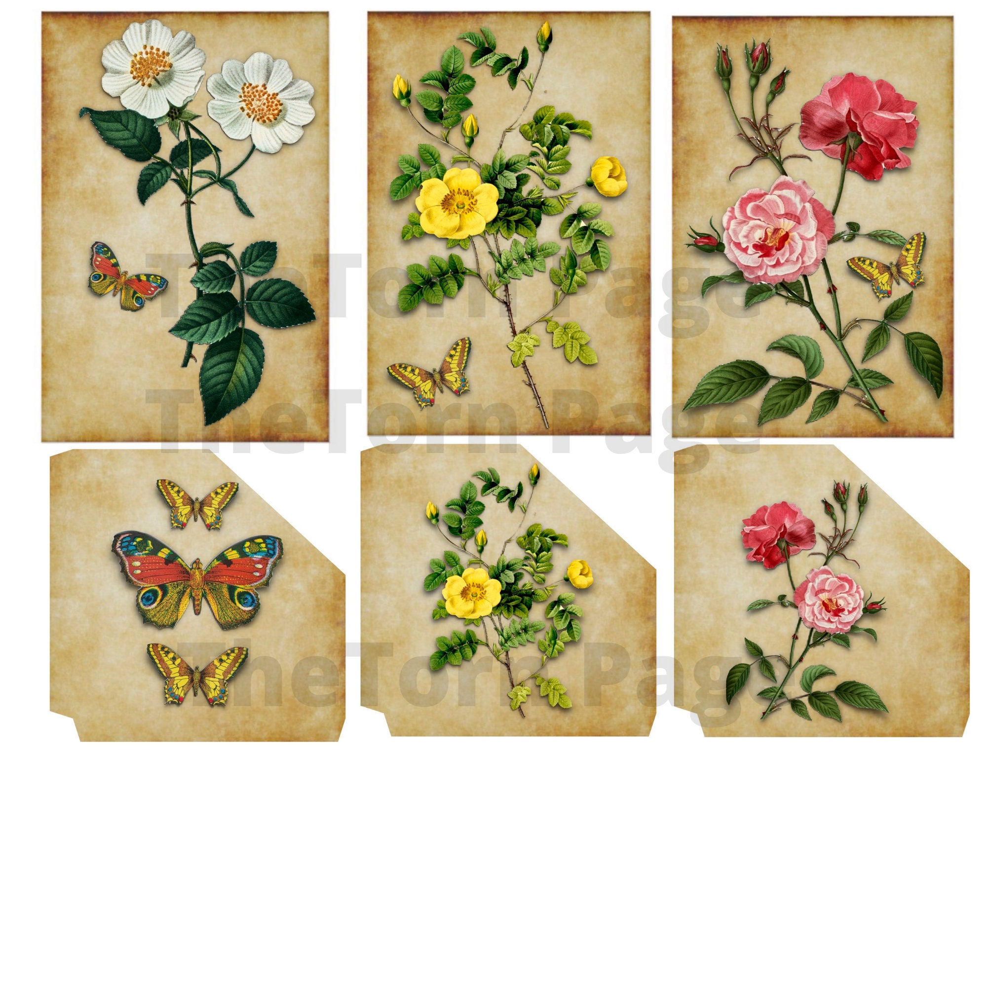 Vintage Junk Journal Cards, 14 Sheets of Vintage Botanicals, ATC Printable, Digital Download, Collage Sheet, Roses, Junk Journal Ephemera - Etsy Vintage Junk Journal Cards, 14 Sheets of Vintage Botanicals, ATC Printable, Digital Download, Collage Sheet, Roses, Junk Journal Ephemera - Etsy