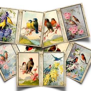 Set 1 - Vintage Birds and Flowers Journal Pages, Collage Papers, Printable Birds for Junk Journals and Scrapbooks, Instant Download