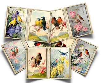 May include: Nine vintage cards featuring colorful birds perched on branches of blooming flowers. The cards have a white background with a decorative border.