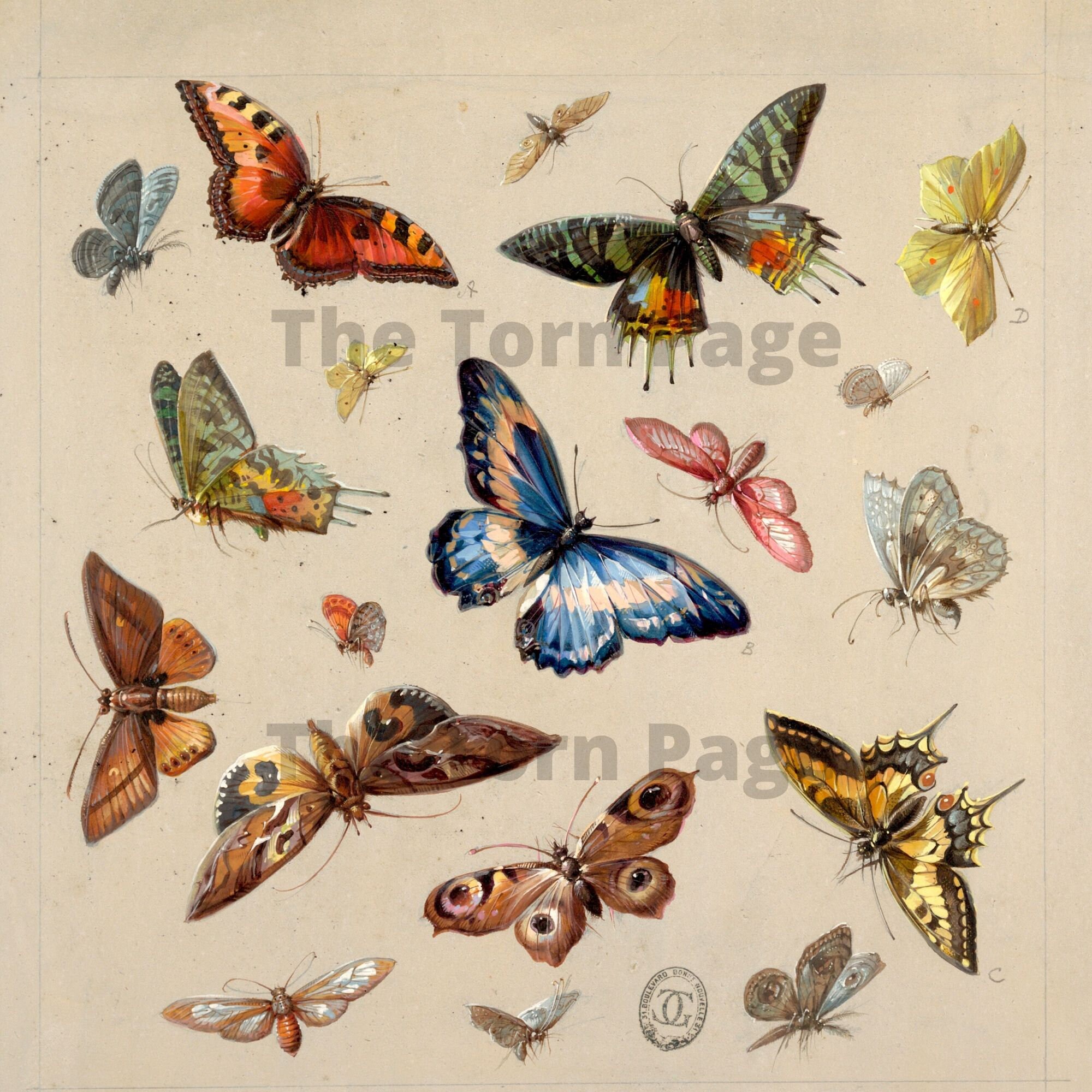 Vintage French Wallpaper Designs Digital Collage Papers Etsy Australia