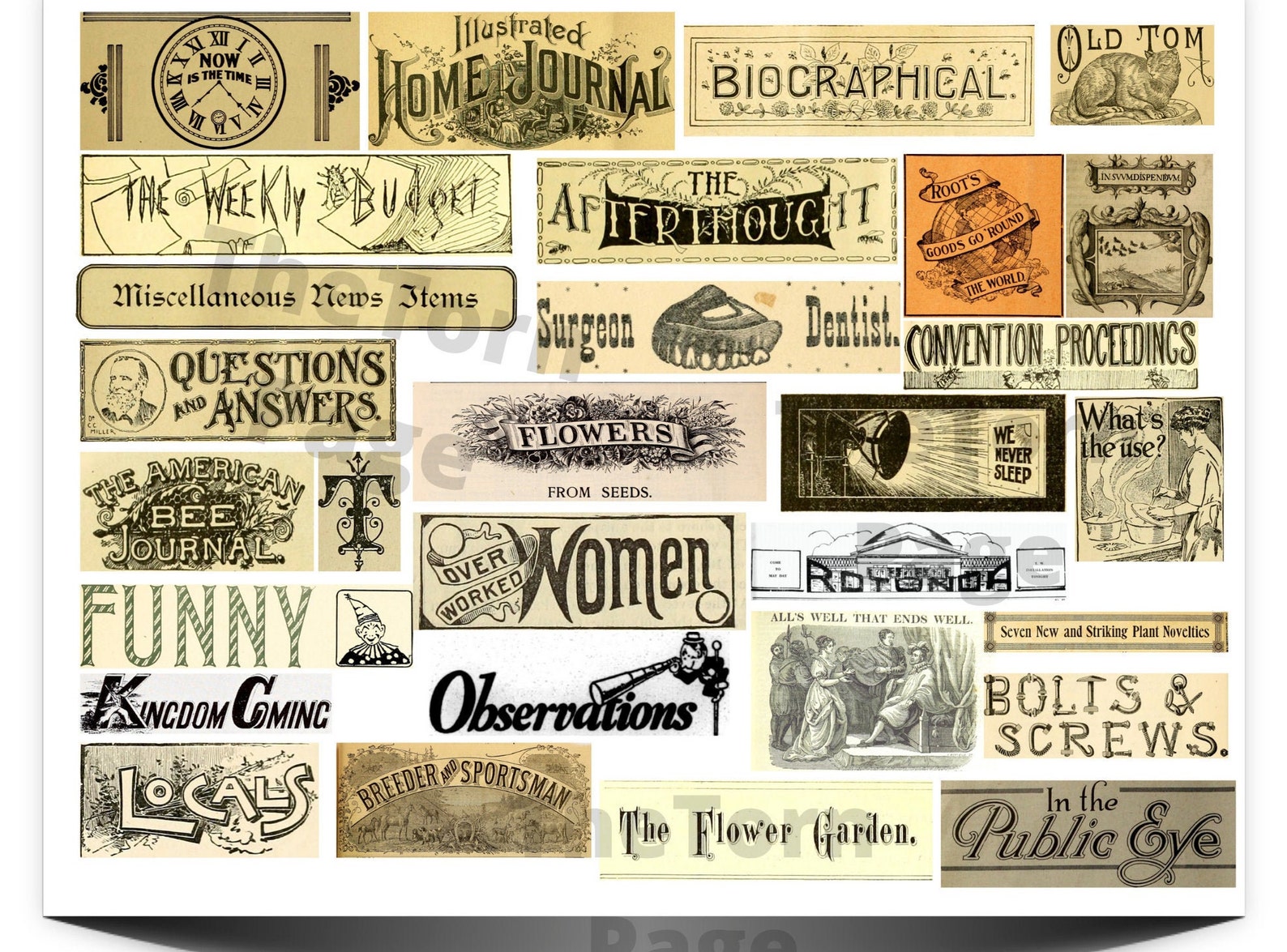 Vintage Script Labels Pack 1 Eclectic Mix of Digital - Etsy