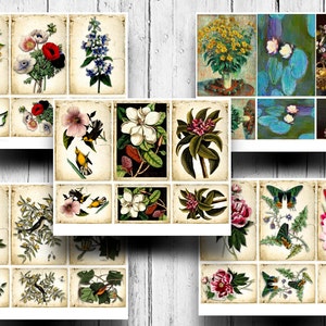May include: A collage of vintage botanical illustrations featuring various flowers, plants, and birds. The images are arranged in a grid pattern on a textured background.
