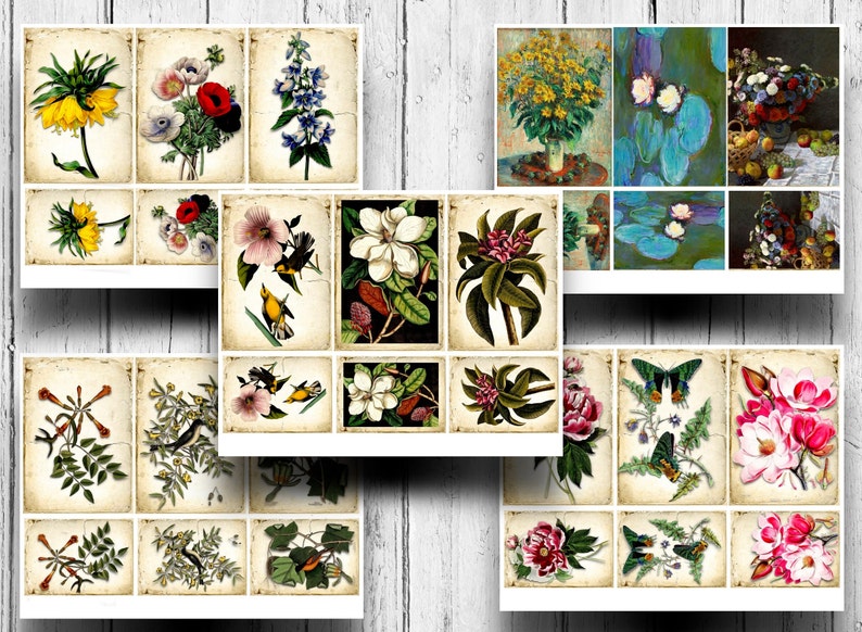 May include: A collage of vintage botanical illustrations featuring various flowers, plants, and birds. The images are arranged in a grid pattern on a textured background.