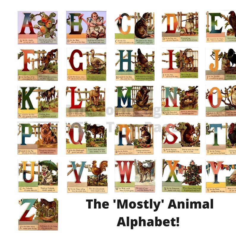 Vintage Alphabet Flashcards Digital Alphabet Papers Fussy Etsy