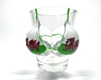 Welsh Funny Shot Glasses, Welsh Gift, Welsh Valentines Day