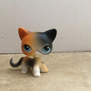 lps calico cat