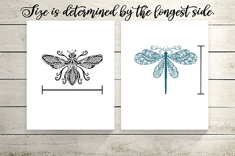 May include: Two illustrations of insects. The first is a black and white bee with intricate details. The second is a teal blue dragonfly with intricate details. The text "Size is determined by the longest side." is at the top of the image.