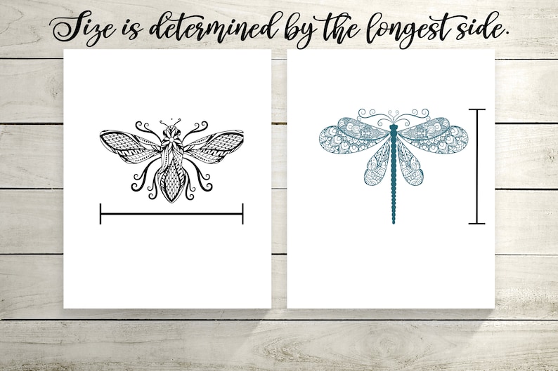 Pu&ograve; includere: Due illustrazioni di insetti in bianco e nero. La prima &egrave; un'ape con dettagli intricati. La seconda &egrave; una libellula di colore blu-verde. La dimensione &egrave; determinata dal lato pi&ugrave; lungo.