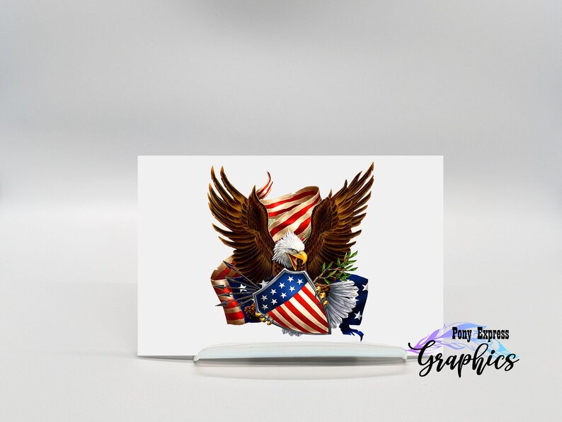 Pu&ograve; includere: Un'aquila calva con le ali spiegate che tiene uno scudo con la bandiera americana. L'aquila &egrave; circondata da un nastro della bandiera americana.