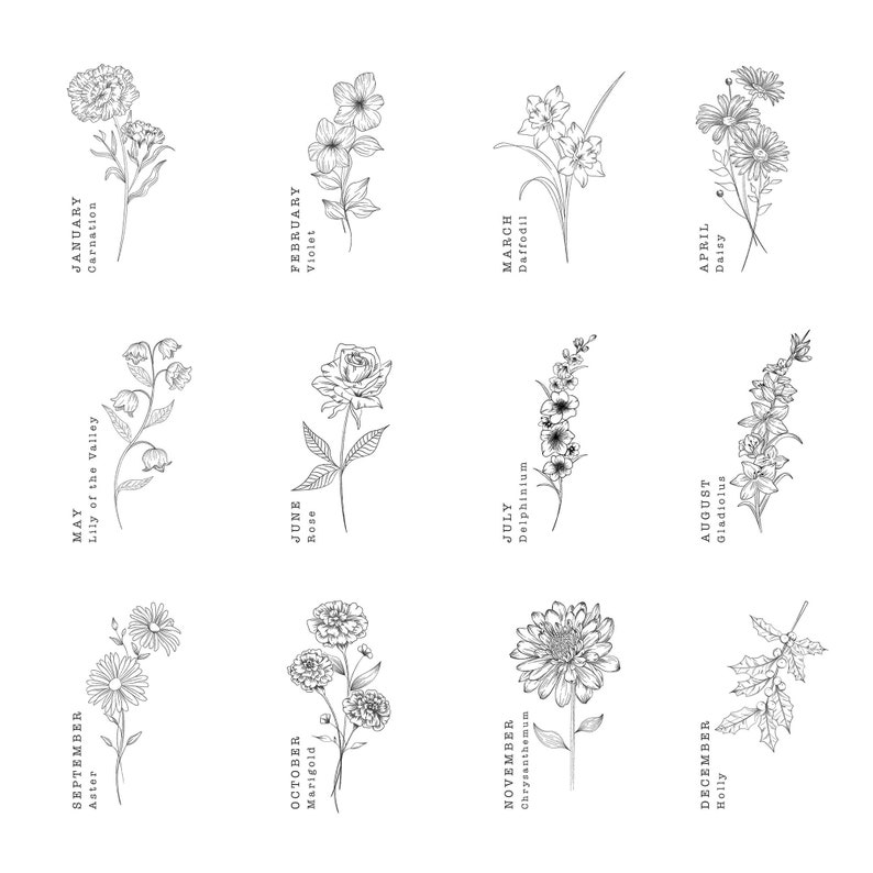 May include: A black and white illustration of twelve different flowers, each representing a different month of the year. The flowers are arranged in a grid pattern, with the name of the month and the flower's common name written below each image.