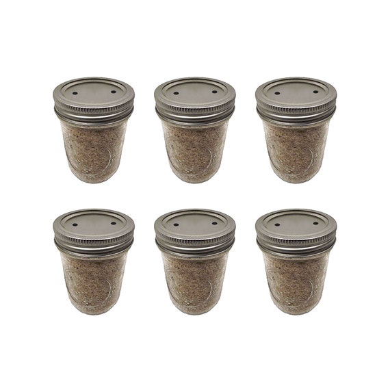 PF Mycotek™ Mushroom Substrate Jars PF Tek With Our Etsy