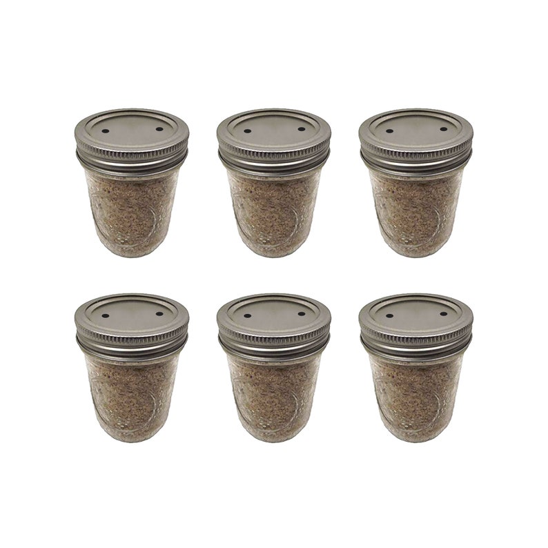 PF Tek Mushroom Substrate Jars BRF Tek, Brown Rice Flour Cakes