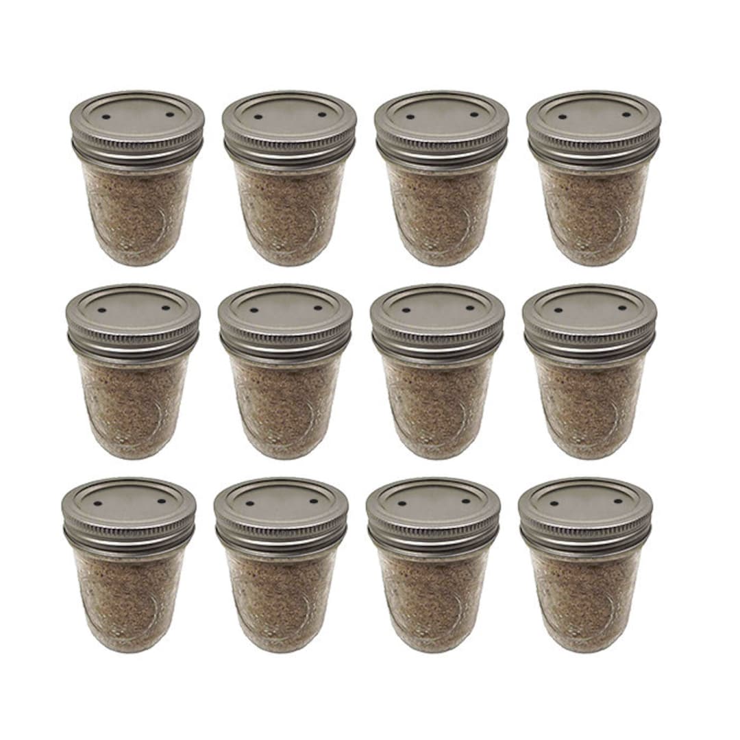 PF Tek Mushroom Substrate Jars BRF Tek, Brown Rice Flour Cakes