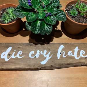 May include: A rustic wooden sign with the words "die cry hate" painted in white on a brown background. The sign is sitting on a wooden table with three potted plants.