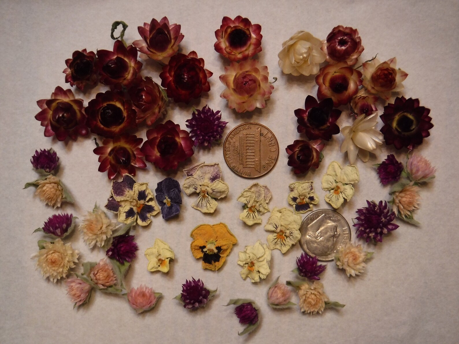 50 Tiny Dried Flowers Mini Dried Flowers Jewelry Resin Etsy