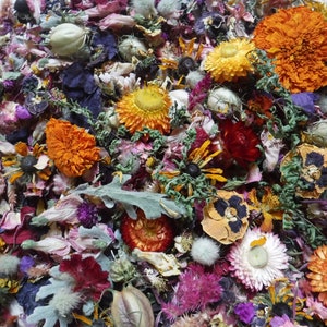 100 Cups Wedding Special Bulk Dried Flowers Mix, Colorful Dry Flowers, Resin Flowers, Bulk Dried Flowers, Loose Dried Flowers, Dried Flowers