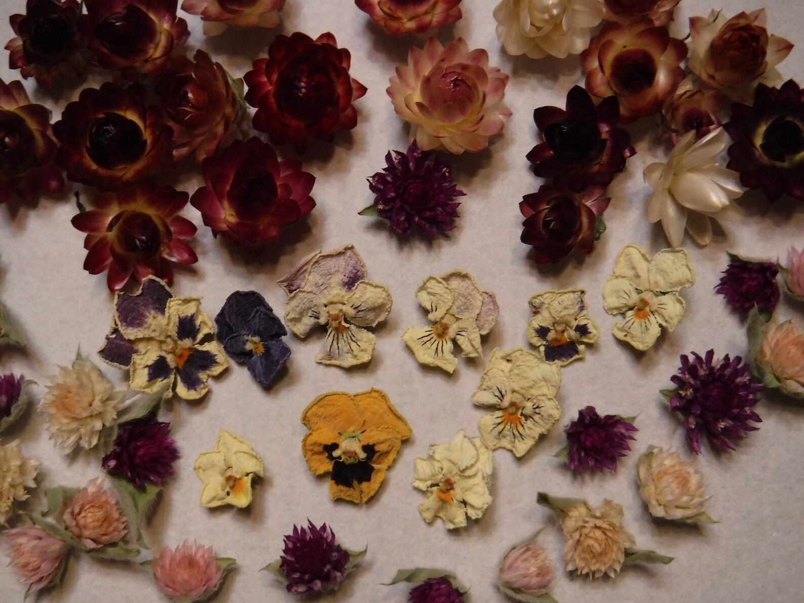 50 Tiny Dried Flowers Mini Dried Flowers Jewelry Resin Etsy