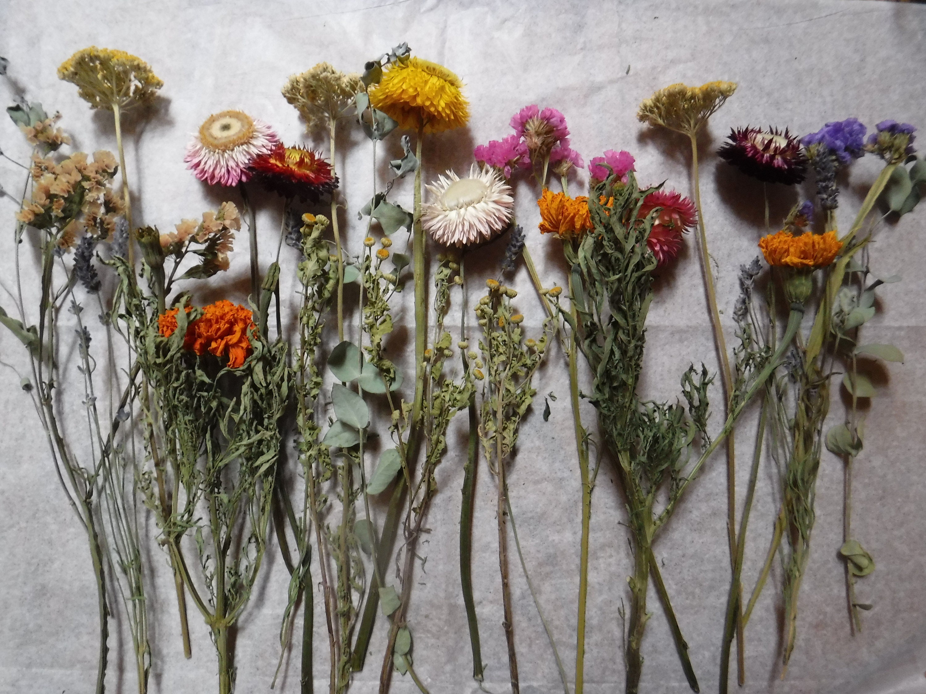 Dried Flower Stems Dried Flower Arrangement Dried Flower Etsy