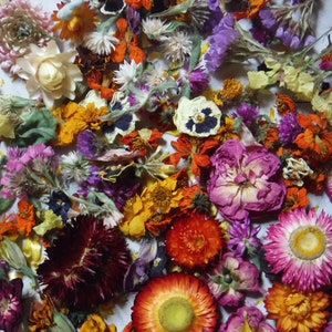2 Cups Dried Flowers, Dried Plant Material, Loose Dried Flowers, Resin Flowers, Whole Dried Flower, Dry Craft Flowers, Bulk Dry Flowers