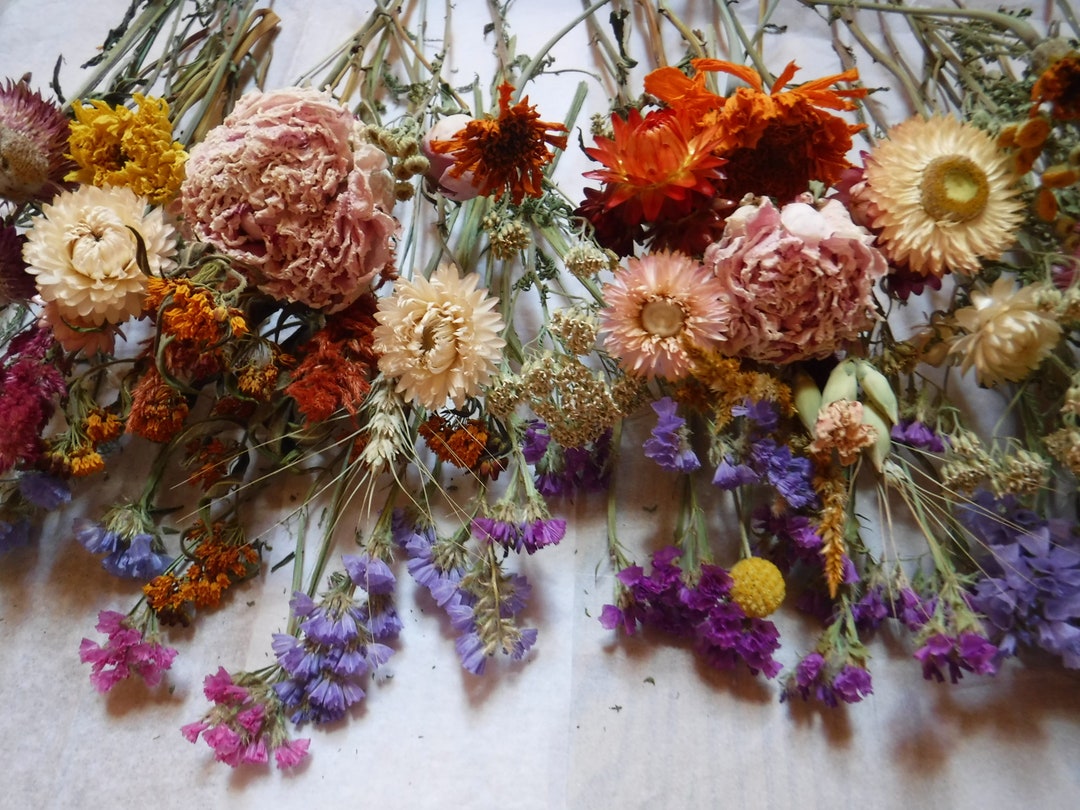 Dried Flower Stems, Dried Flower Arrangement, Dried Flower Bouquet