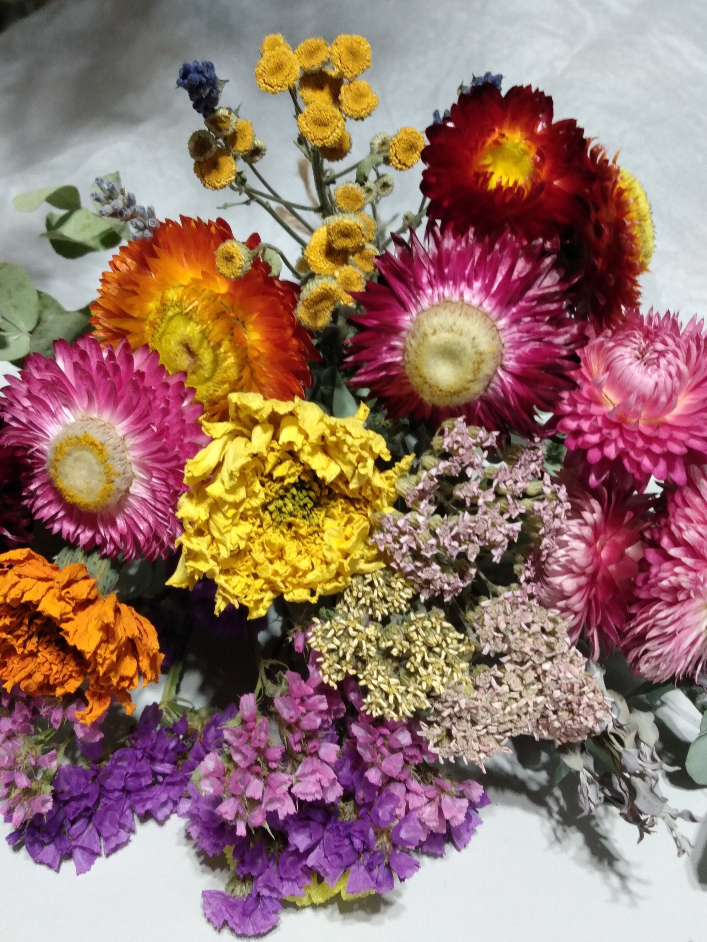 Dried Flower Stems Dried Flower Arrangement Dried Flower Etsy