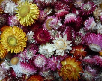 May include: A collection of dried flowers in various shades of pink, white, and yellow. The flowers are arranged in a bowl and have a delicate, dried texture.
