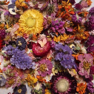Dried Flowers, Dried Plant Material, Loose Dried Flowers, Resin Flowers, Dry Craft Flowers, Bulk Dry Flowers, Flower Confetti, Gift