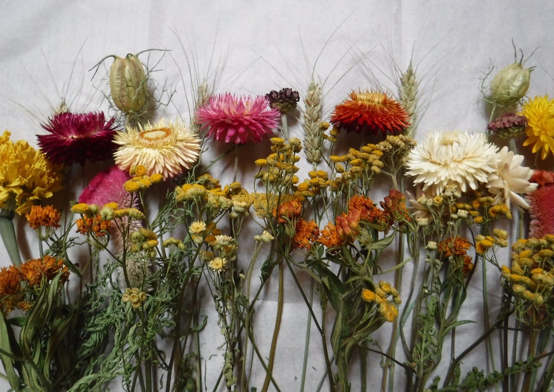Dried Flower Stems, Dried Flower Arrangement, Dried Flower Bouquet