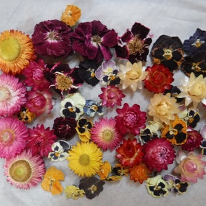 50 Whole Dried Flowers, Bowl Filler, Wedding Table Decor, Resin Flowers, Real Dried Flowers, Strawflowers, Pansies, Roses,