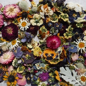 Dried Flowers, Dried Plant Material, Bowl Filler, Table Decor, Table Confetti, Resin Flowers, Whole Dried Flower, Craft, Bulk Flowers, Gift
