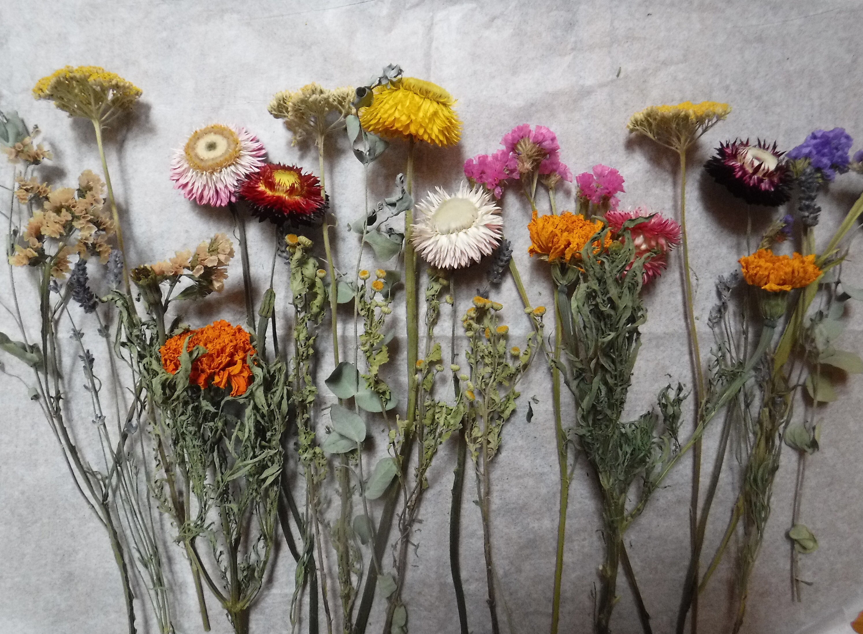 Dried Flower Stems Dried Flower Arrangement Dried Flower Etsy