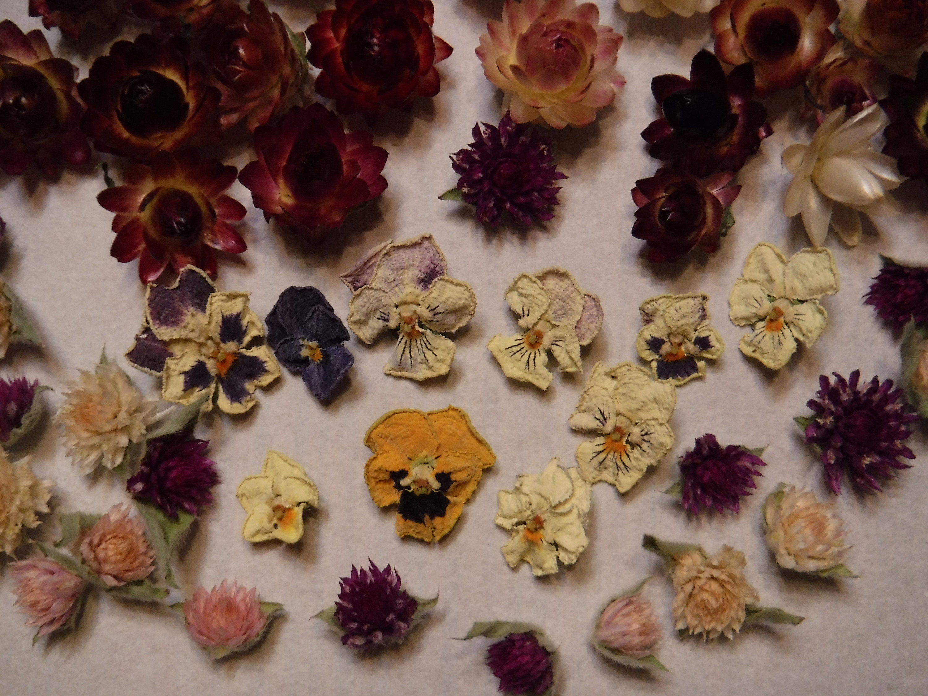 50 Tiny Dried Flowers Mini Dried Flowers Jewelry Resin Etsy