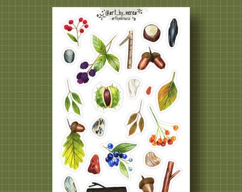 Paper Stickers for your Diary - Forest Treasures