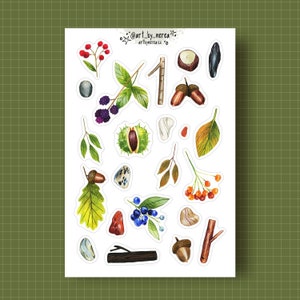 Adesivos de papel para sua agenda - Tesouros da Floresta