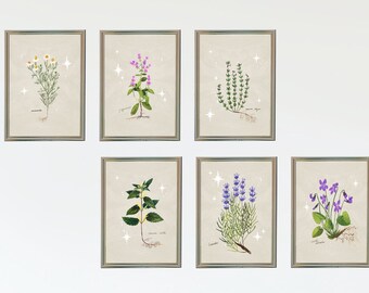 Set of 6 - Art Prints A4, Botanical Scientific wall decor, Witchcore, Cottagecore