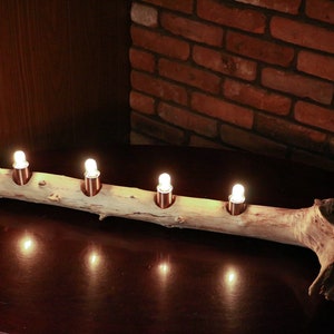 Drift Wood Accent Lamp | Off The Grid Lamp | 4 LED Bulbs | Battery Operation