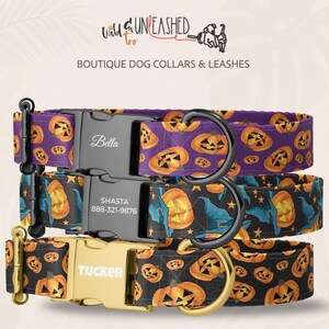 May include: Three dog collars with Halloween patterns. The top collar is purple with orange jack-o'-lanterns and a black buckle engraved with "Bella". The middle collar is black with pumpkins, witch hats, and stars, featuring a black buckle with "SHASTA 888-321-9876". The bottom collar is black with pumpkins and a gold buckle engraved with "TUCKER".