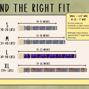 The image is a guide or diagram that provides measurements and corresponding collar sizes for different collar types, such as S, M, L, and XL.