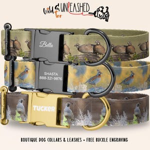 May include: Three dog collars with quail patterns and metal buckles. The top collar has a black buckle engraved with Bella. The middle collar has a black buckle engraved with SHASTA and 888-321-9876. The bottom collar has a gold buckle engraved with TUCKER.