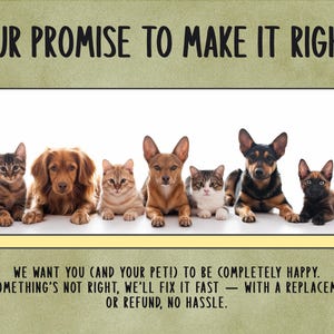 A group of six dogs and cats sitting together, with text overlaying the image.