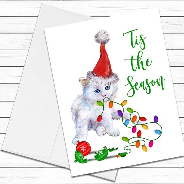 Persian Cat, Christmas Cards, Funny Holiday Cards, Cute Holiday Card, Cat Christmas Card, Holiday Card Set, Cat Lover Gift, Xmas Card Pack