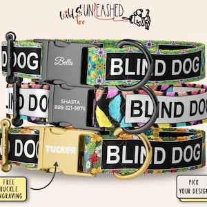 Bright Boho Chic Personalized Blind Dog Collar, Handmade Safety Awareness Collar, Custom Metal Buckle, Retro Floral, Feather Aztec Accessory