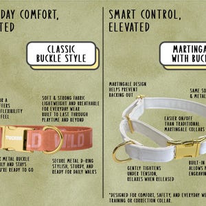 a diagram of how to wear a dog collar